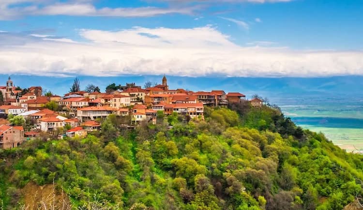 Kakheti Wine Tour from Tbilisi