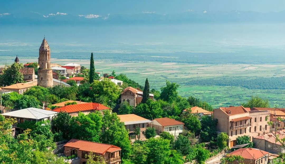 Kakheti Wine Tour from Tbilisi