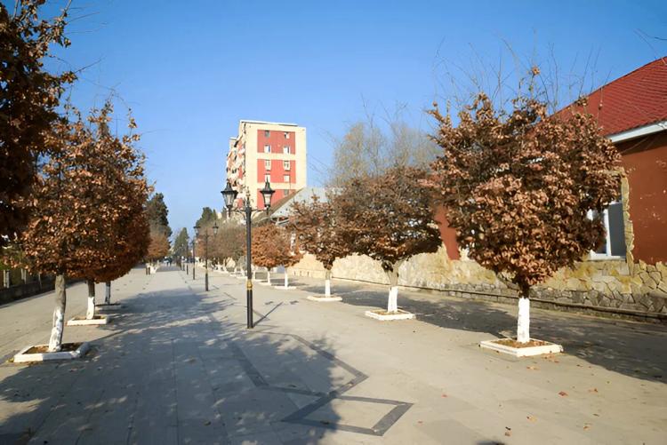 Private day tour to Lankaran